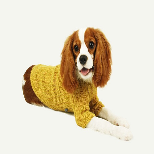 Knit Turtleneck Sweater_ Yellow