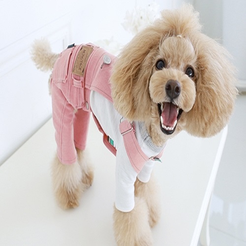 두유노몽타주 T overall pants-pink