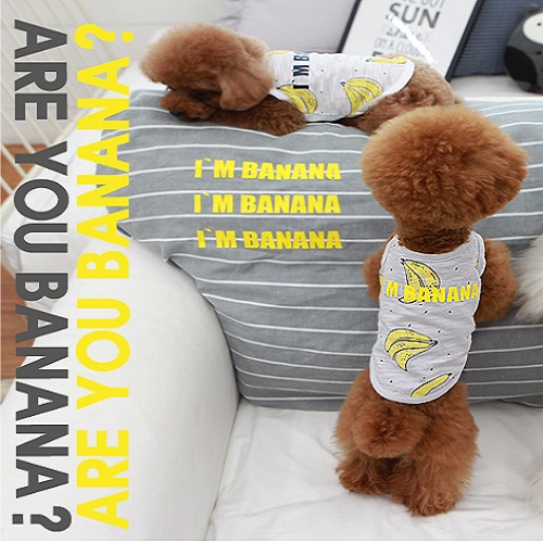 포펫지니 - The nine banana t-shirt_gray